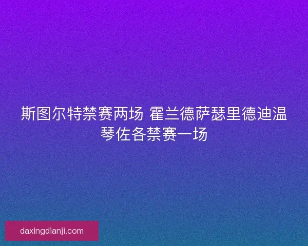 斯图尔特禁赛两场 霍兰德萨瑟里德迪温琴佐各禁赛一场