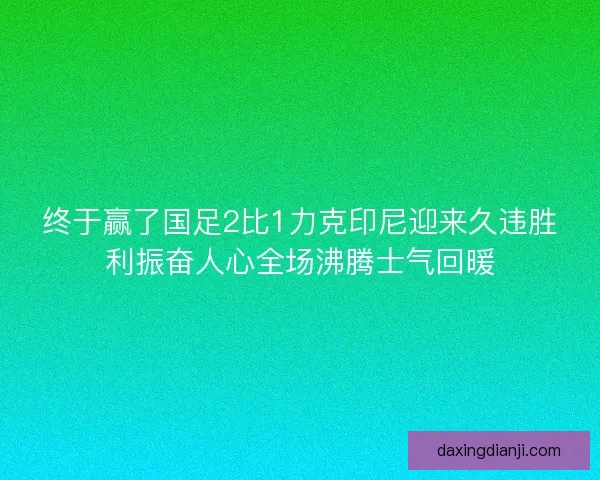 终于赢了国足2比1力克印尼迎来久违胜利振奋人心全场沸腾士气回暖