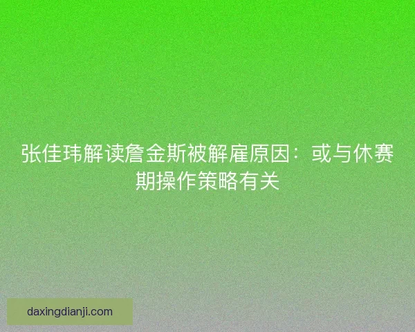 张佳玮解读詹金斯被解雇原因：或与休赛期操作策略有关