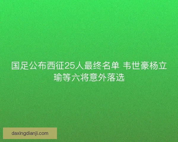 国足公布西征25人最终名单 韦世豪杨立瑜等六将意外落选